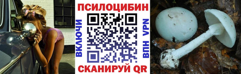 закладки  Коряжма  Галлюциногенные грибы мухоморы 