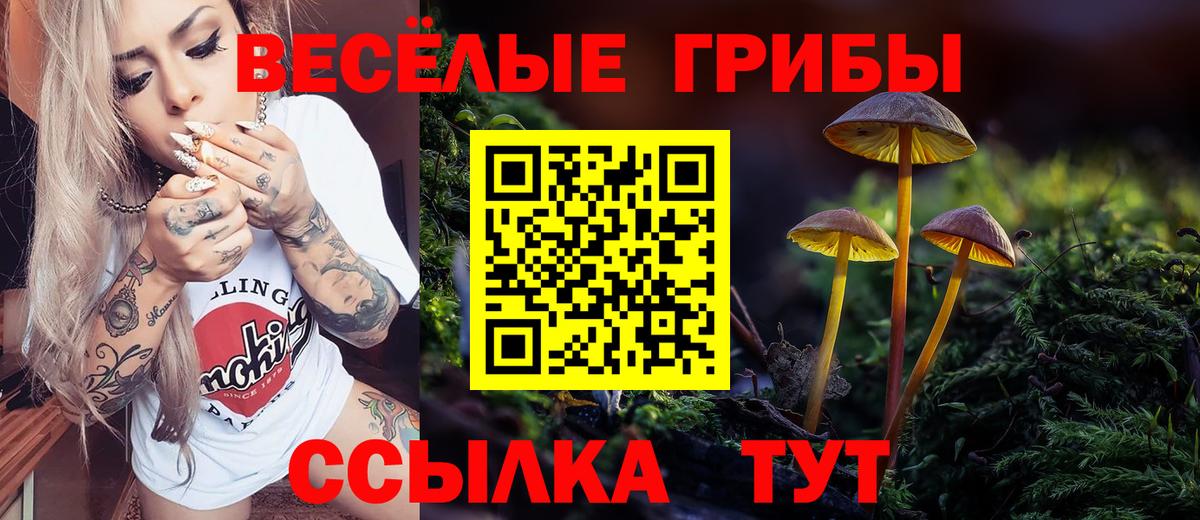 ГАШ  Вход с VPN  КОКАИН  Кодеин  Канабис  Коряжма  МЕФ  