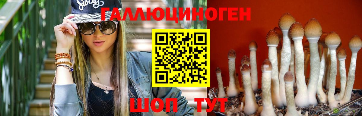 Псилоцибиновые грибы мицелий  Вход с VPN  Коряжма 