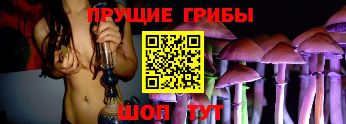 Псилоцибиновые грибы Cubensis Коряжма